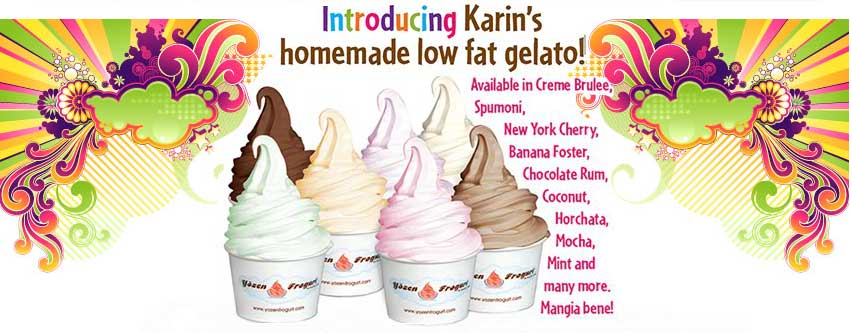 web-specials-homemade-lowfat-gelato-yozen-frogurt-best-frozen-yogurt-shop-store-westlake-village